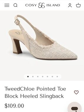 TweedChloe Pointed-Toe Slingback in Cream